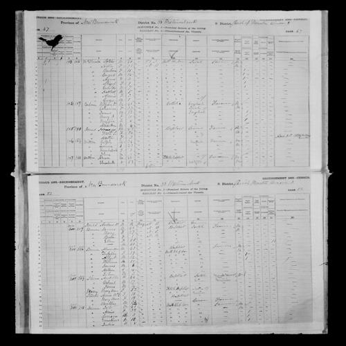 Digitized page of Census of Canada, 1881, Page number 52, for  BROWN