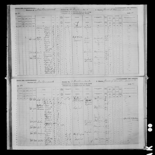 Digitized page of Census of Canada, 1881, Page number 51, for Amos WILSON