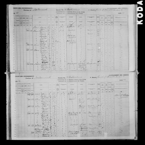 Digitized page of Census of Canada, 1881, Page number 53, for Charles NICHOL