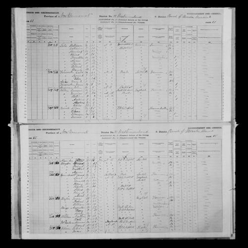 Digitized page of Census of Canada, 1881, Page number 61, for Manly LUTES