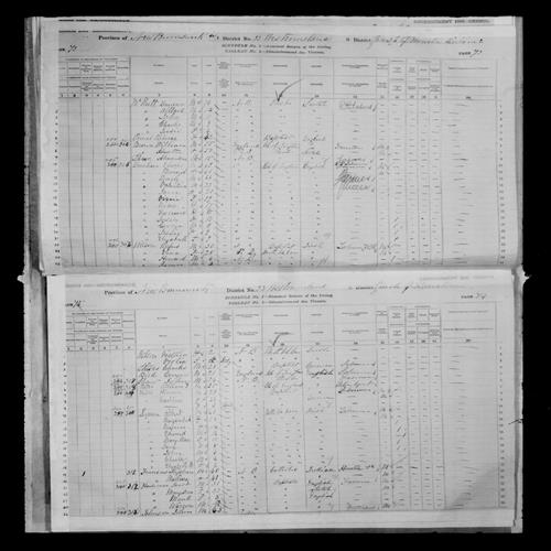Digitized page of Census of Canada, 1881, Page number 74, for Robert SEYMORE