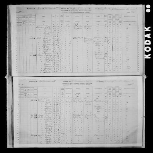 Digitized page of Census of Canada, 1881, Page number 75, for Alvan LUTES