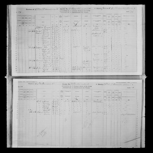 Digitized page of Census of Canada, 1881, Page number 80, for Louisa STEEVES