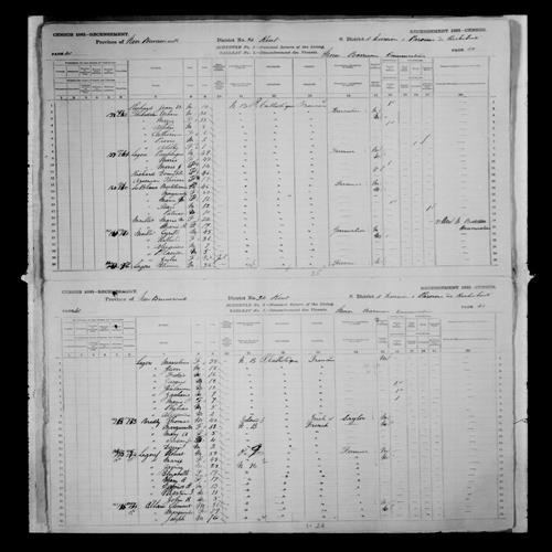 Digitized page of Census of Canada, 1881, Page number 40, for Paciphique LEGERE