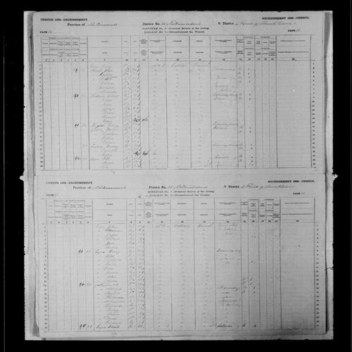 Digitized page of Census of Canada, 1881, Page number 26, for Francis GOODING