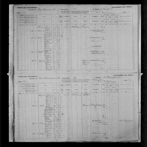 Digitized page of Census of Canada, 1881, Page number 33, for Xavier VIENNA