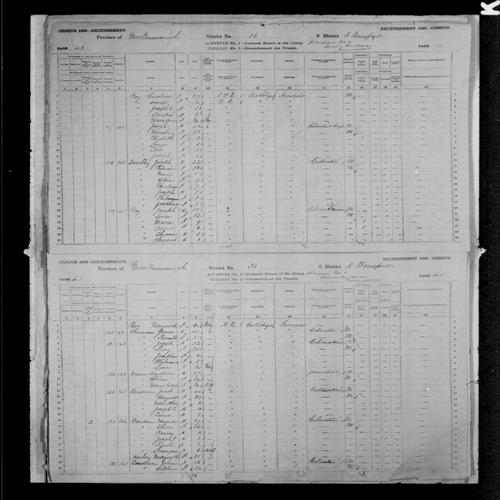 Digitized page of Census of Canada, 1881, Page number 41, for John BOUDREAU