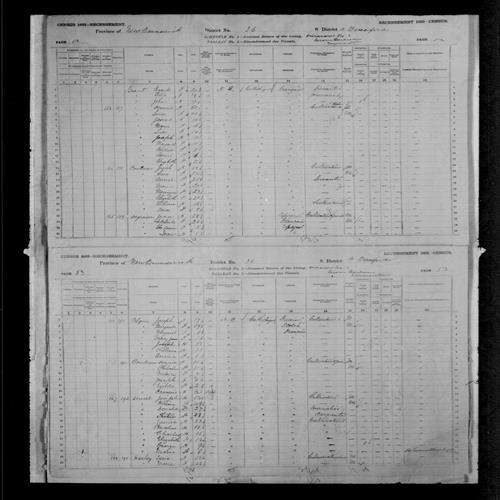 Digitized page of Census of Canada, 1881, Page number 53, for Isaie HACHEY