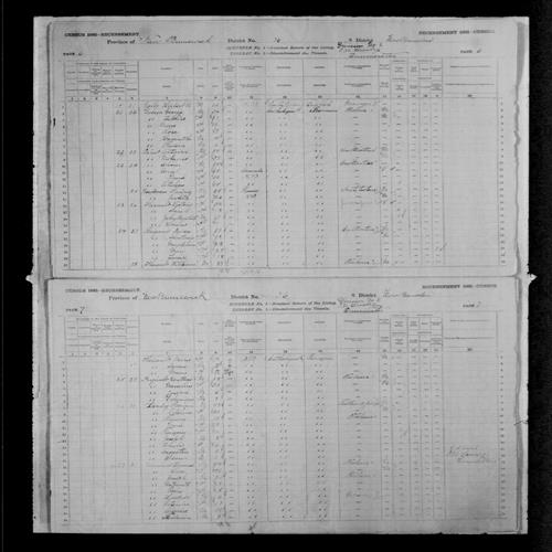 Digitized page of Census of Canada, 1881, Page number 6, for Olivier PINET