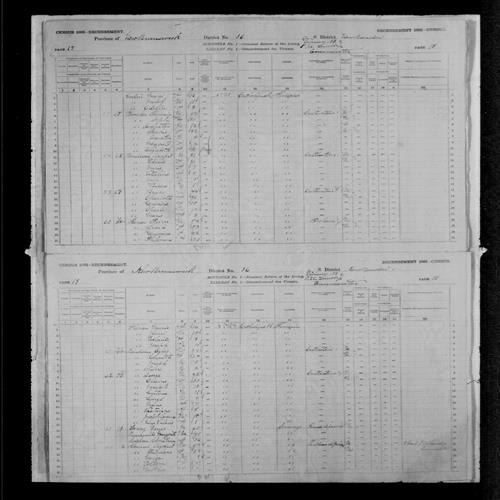 Digitized page of Census of Canada, 1881, Page number 19, for Agapit CORMIER