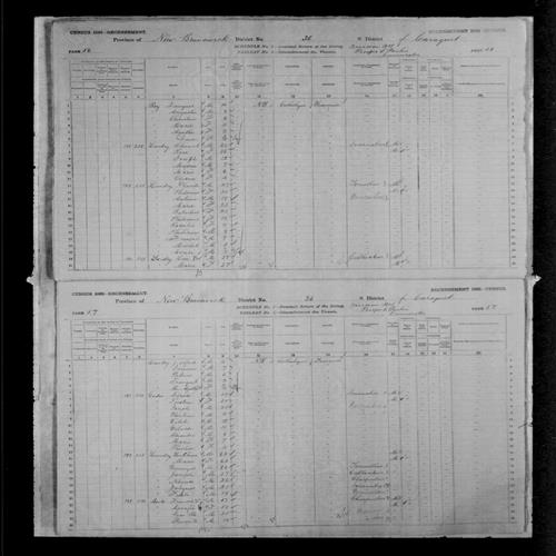 Digitized page of Census of Canada, 1881, Page number 57, for Francois D. HACHE