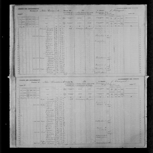 Digitized page of Census of Canada, 1881, Page number 61, for Louis PINET