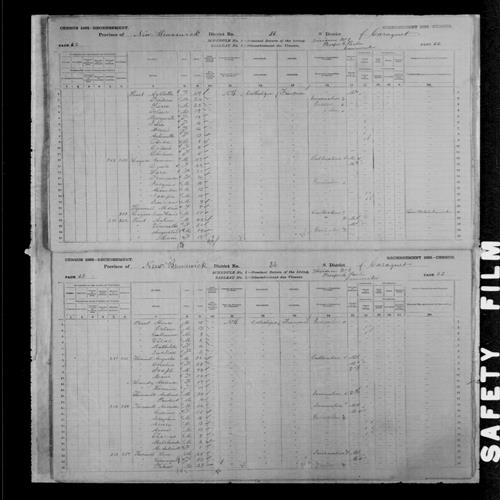 Digitized page of Census of Canada, 1881, Page number 62, for Romain LEGERE