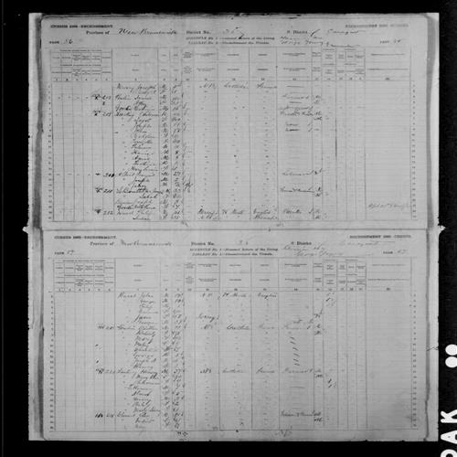 Digitized page of Census of Canada, 1881, Page number 57, for Henery LANTING