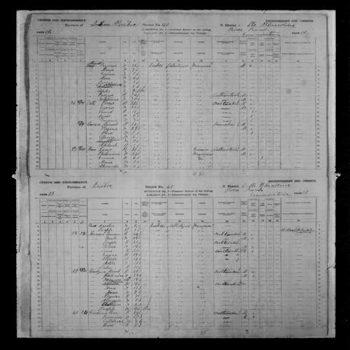 Digitized page of Census of Canada, 1881, Page number 13, for Philomene LEVEQUE