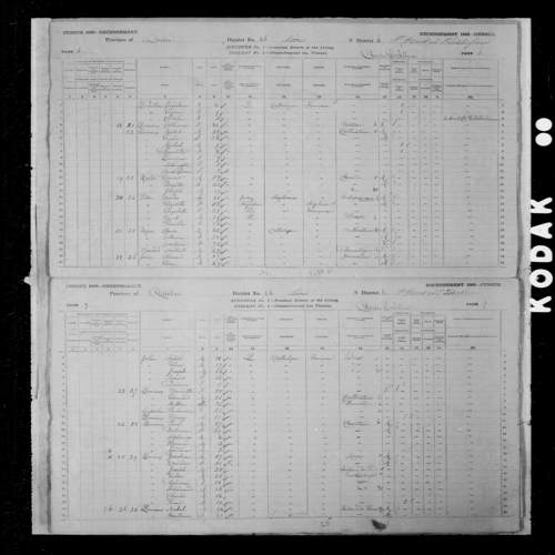 Digitized page of Census of Canada, 1881, Page number 6, for Priscilla PITON