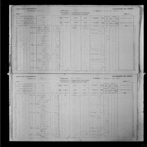 Digitized page of Census of Canada, 1881, Page number 45, for Edouard LEGERE