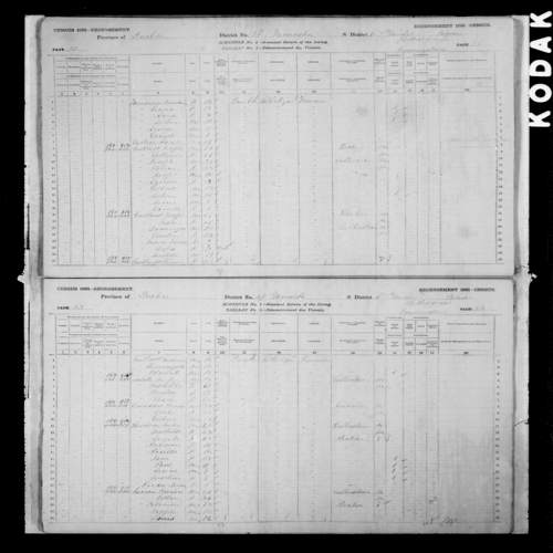Digitized page of Census of Canada, 1881, Page number 53, for Rosilda AUTALLE