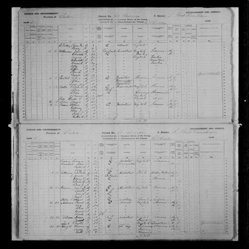 Digitized page of Census of Canada, 1881, Page number 4, for Alice FULLER