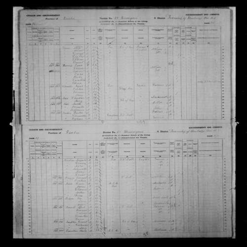 Digitized page of Census of Canada, 1881, Page number 36, for Printice JINKINS