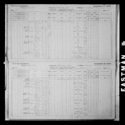 Digitized page of Census of Canada, 1881, Page number 102, for Napoleon DROUIN