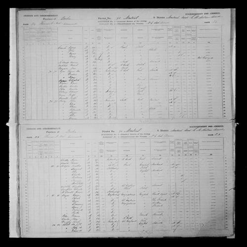 Digitized page of Census of Canada, 1881, Page number 25, for J.J.C. ABBOT