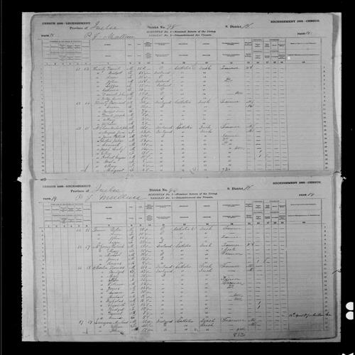 Digitized page of Census of Canada, 1881, Page number 19, for Nicholas MARTIN