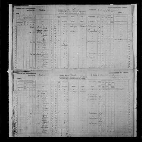 Digitized page of Census of Canada, 1881, Page number 7, for Isidore LAROSE