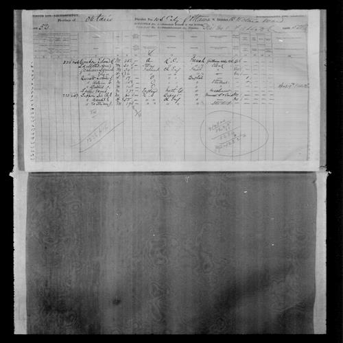 Digitized page of Census of Canada, 1881, Page number 50, for Sir Chs. TUPPER
