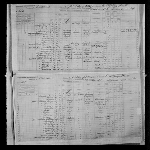 Digitized page of Census of Canada, 1881, Page number 54, for Jno / John  MACDONALD