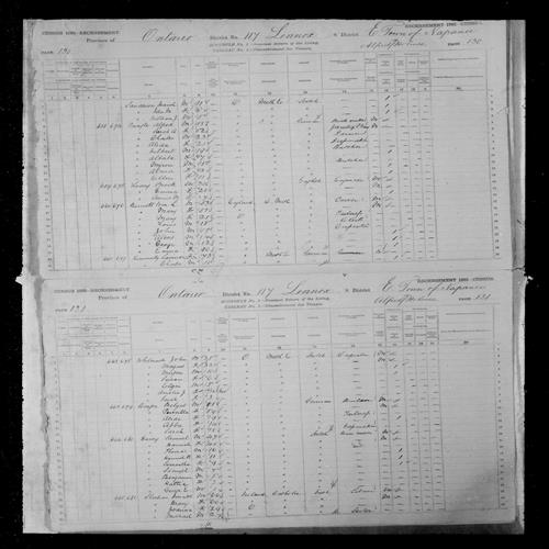 Digitized page of Census of Canada, 1881, Page number 131, for Benjamin DAVEY