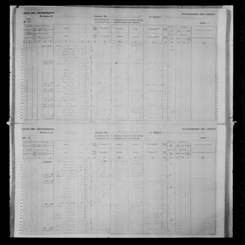 Digitized page of Census of Canada, 1881, Page number 30, for Stephen LAMPKIN