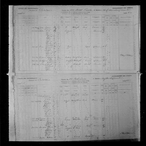 Digitized page of Census of Canada, 1881, Page number 65, for Frederick ALLEN
