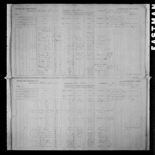 Digitized page of Census of Canada, 1881, Page number 6, for Marguerite BOURQUE