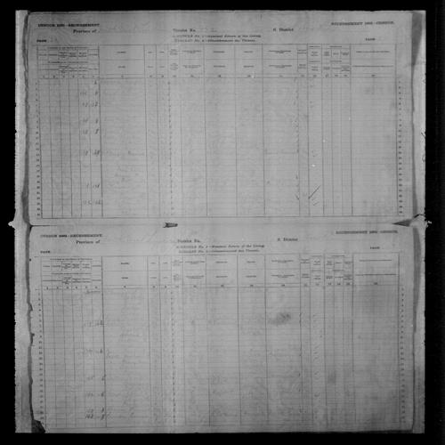 Digitized page of Census of Canada, 1881, Page number 23, for William R SALTER