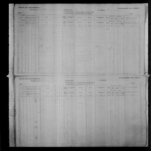 Digitized page of Census of Canada, 1881, Page number 9, for James MOWNT