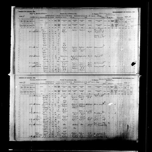 Digitized page of Census of Canada, 1891, Page number 76-77, for James A Cohen