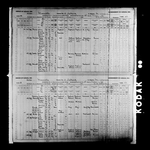 Digitized page of Census of Canada, 1891, Page number 52-53, for Frederick Reeves