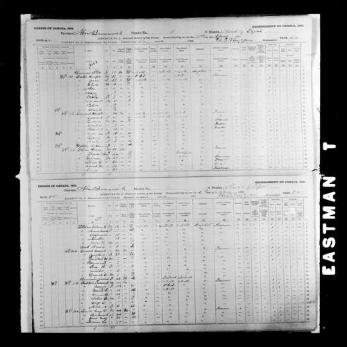 Digitized page of Census of Canada, 1891, Page number 24-25, for Annie Maud Steeves