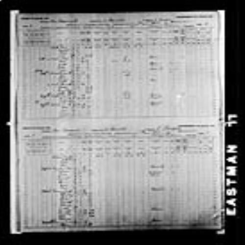 Digitized page of Census of Canada, 1891, Page number 2-3, for Joseph Vienneau