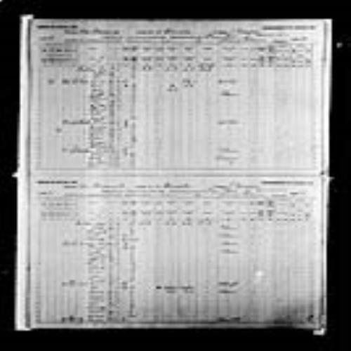 Digitized page of Census of Canada, 1891, Page number 28-29, for William Hackey