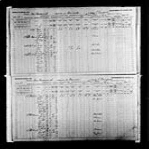 Digitized page of Census of Canada, 1891, Page number 52-53, for Michael Hachey