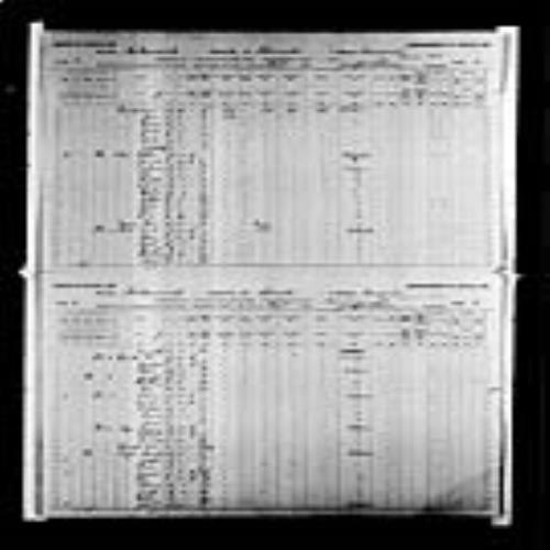 Digitized page of Census of Canada, 1891, Page number 2-3, for Gionet Gionet