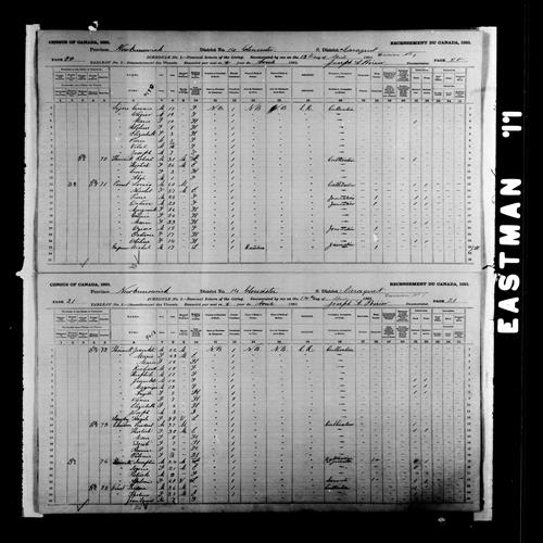 Digitized page of Census of Canada, 1891, Page number 20-21, for Louis Pinet