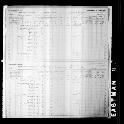 Digitized page of Census of Canada, 1891, Page number 8-9, for P Remi Hebert