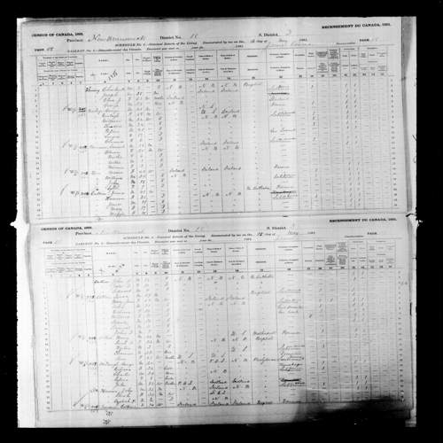 Digitized page of Census of Canada, 1891, Page number 58-59, for Mary Cullion