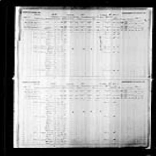 Digitized page of Census of Canada, 1891, Page number 12-13, for Frederique Bourgois