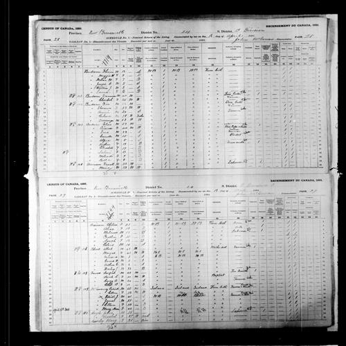 Digitized page of Census of Canada, 1891, Page number 28-29, for Dannan Budreau
