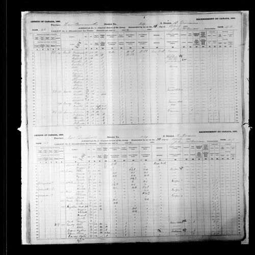 Digitized page of Census of Canada, 1891, Page number 46-47, for Ferdinand Gould