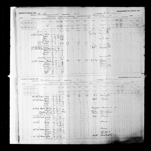 Digitized page of Census of Canada, 1891, Page number 52-53, for Ellen Hickman